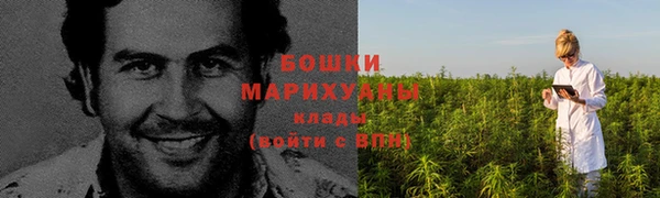 бошки Белокуриха