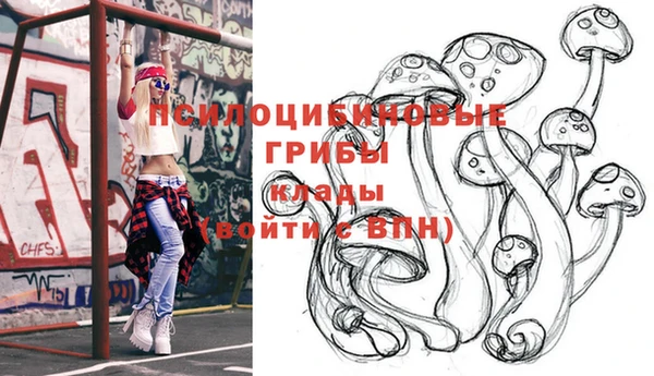 бошки Белокуриха