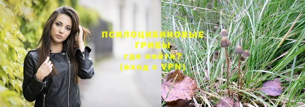 бошки Белокуриха